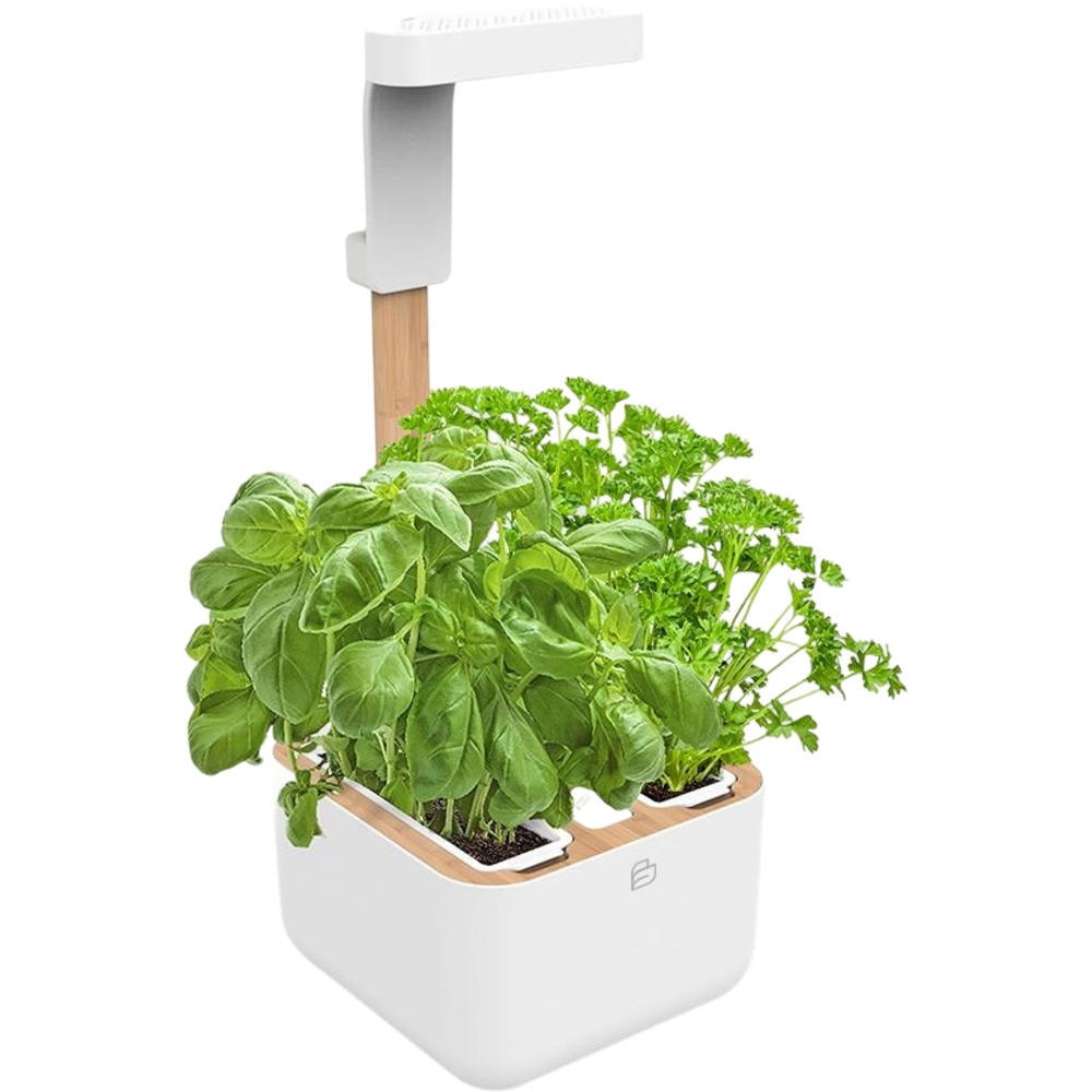 Botaneo automatický květináč zahrádka