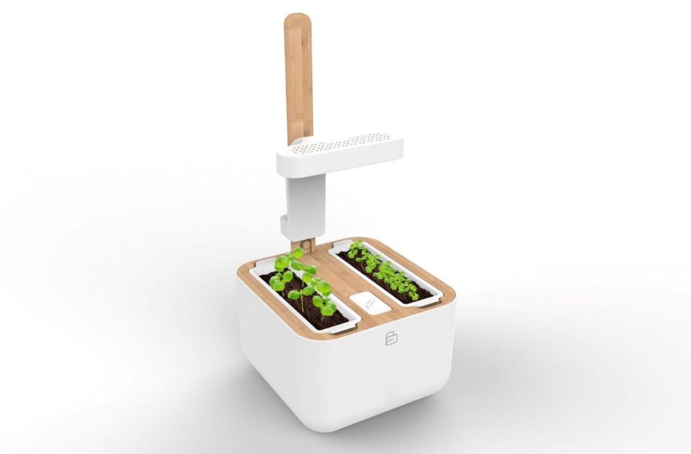 Lingot sazenice systém Botaneo