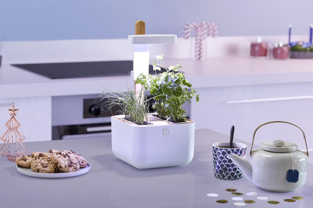 LED osvětlení Botaneo zahrádka