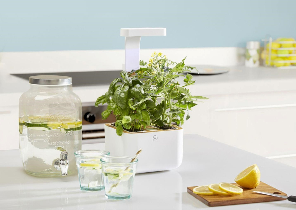 Samozavlažovací systém Botaneo