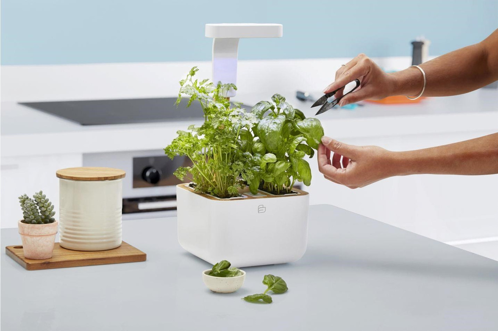 Francouzský design Botaneo