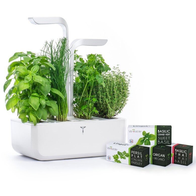 Systém Lingot se speciálními sazenicemi Véritable CLASSIC