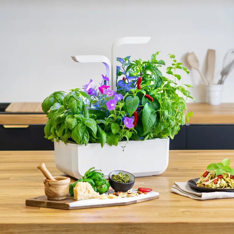 Velká úroda s Véritable CLASSIC chytrým květináčem