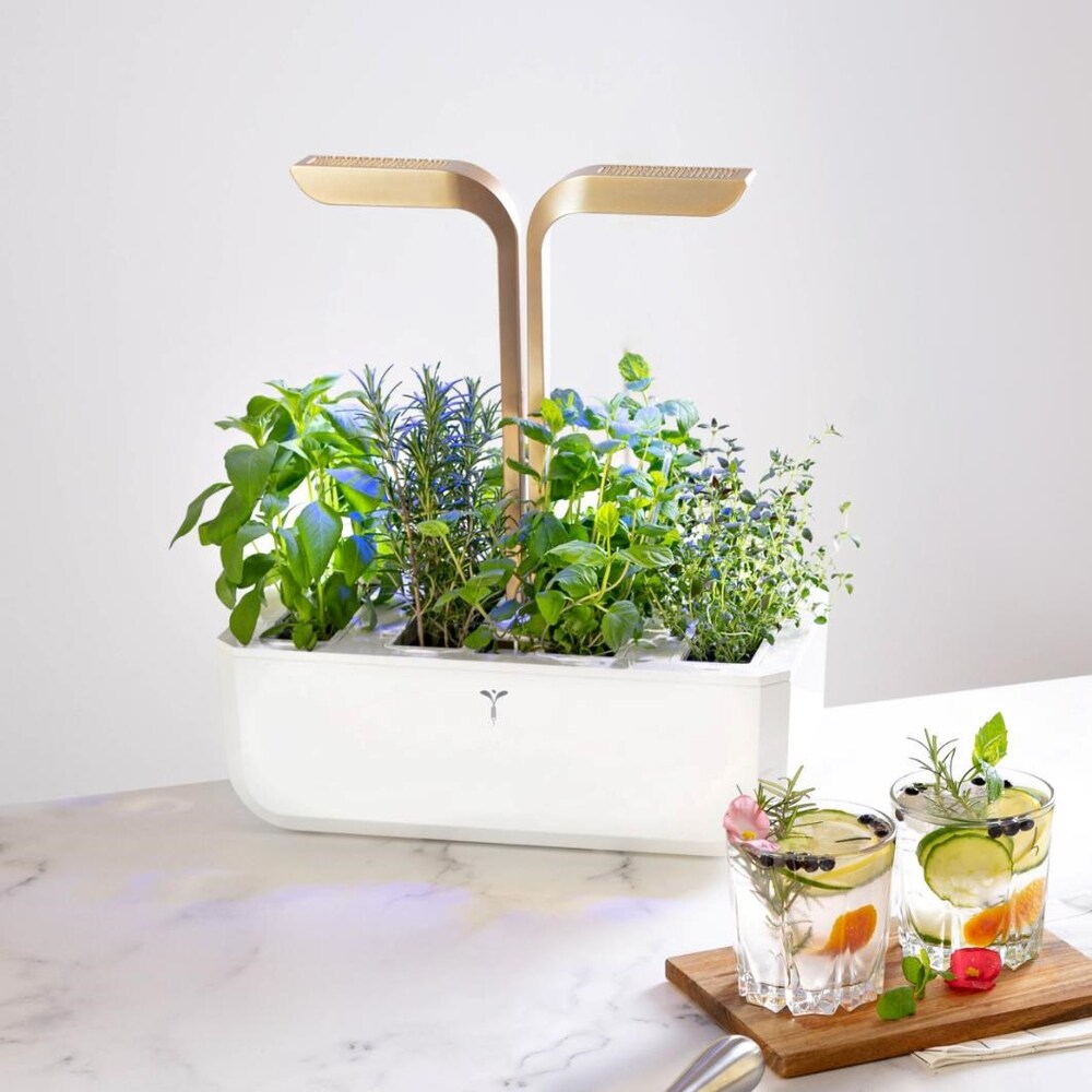 Automatické zavlažování Véritable CONNECT