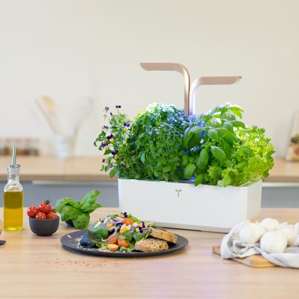 Francouzská výroba Véritable CONNECT