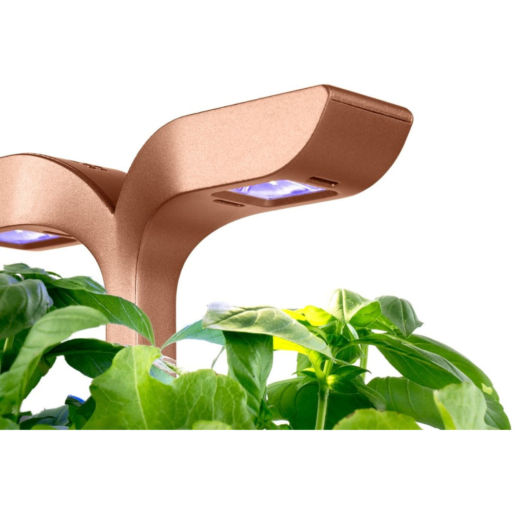 Inteligentní LED osvětlení Exky Smart