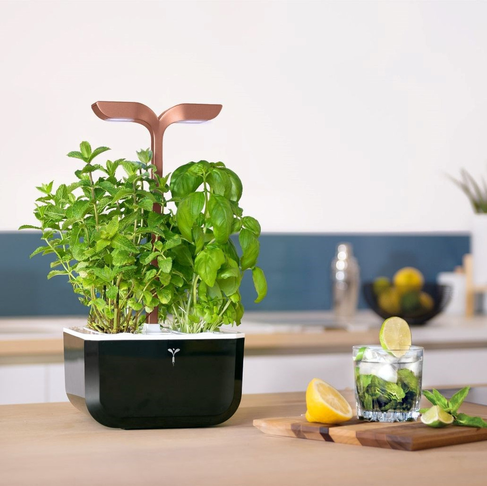 Ekologické pěstování Exky Smart