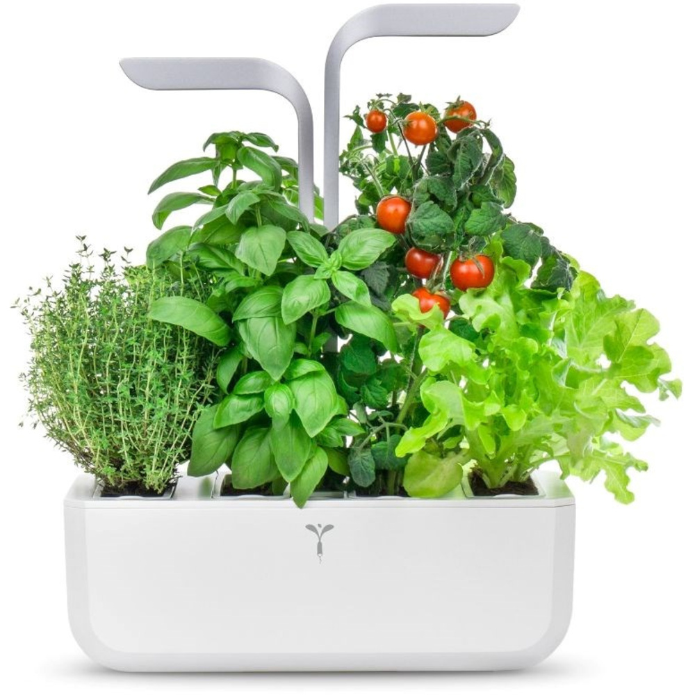 Systém Lingot se 4 sazenicemi Véritable SMART