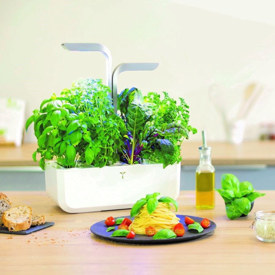 Snadné pěstování s Véritable SMART